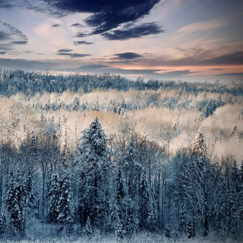 header-image
