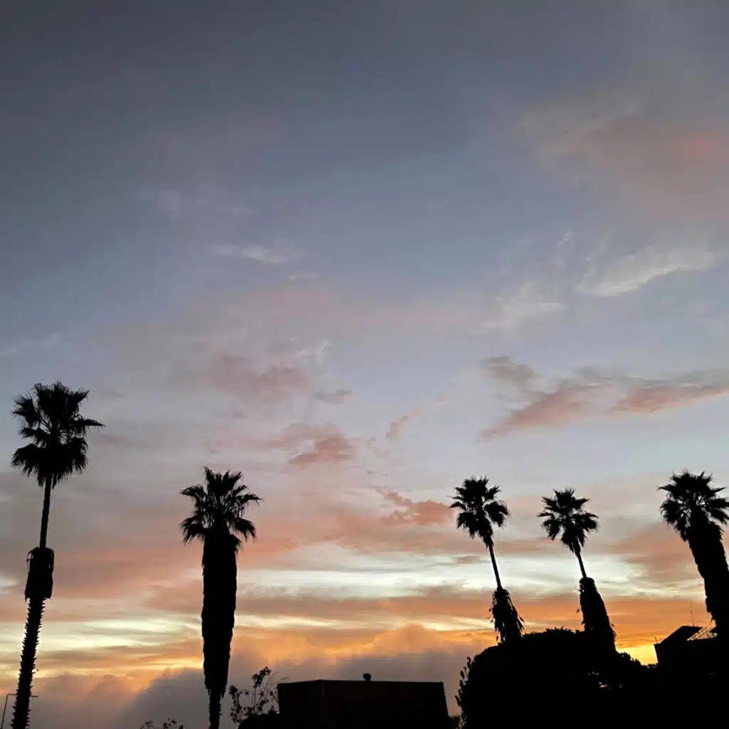 header-image