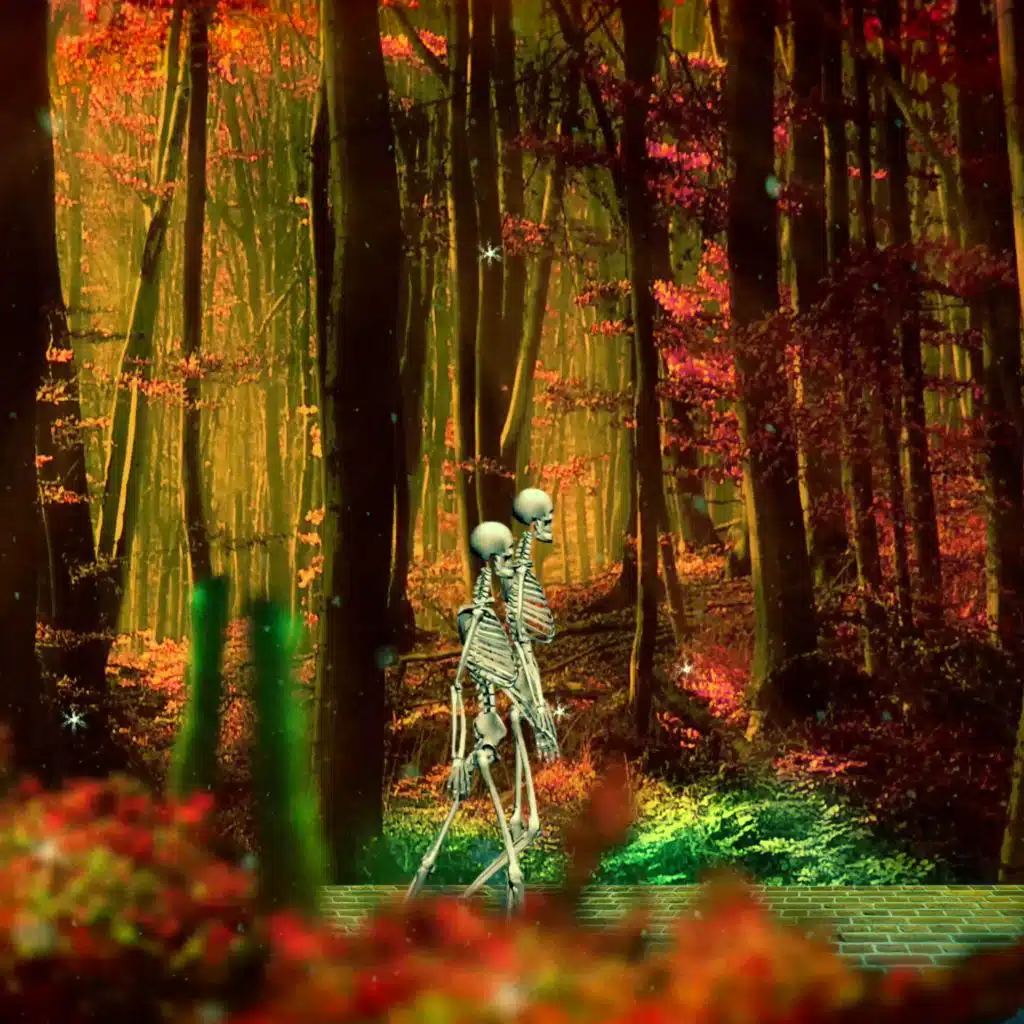 header-image