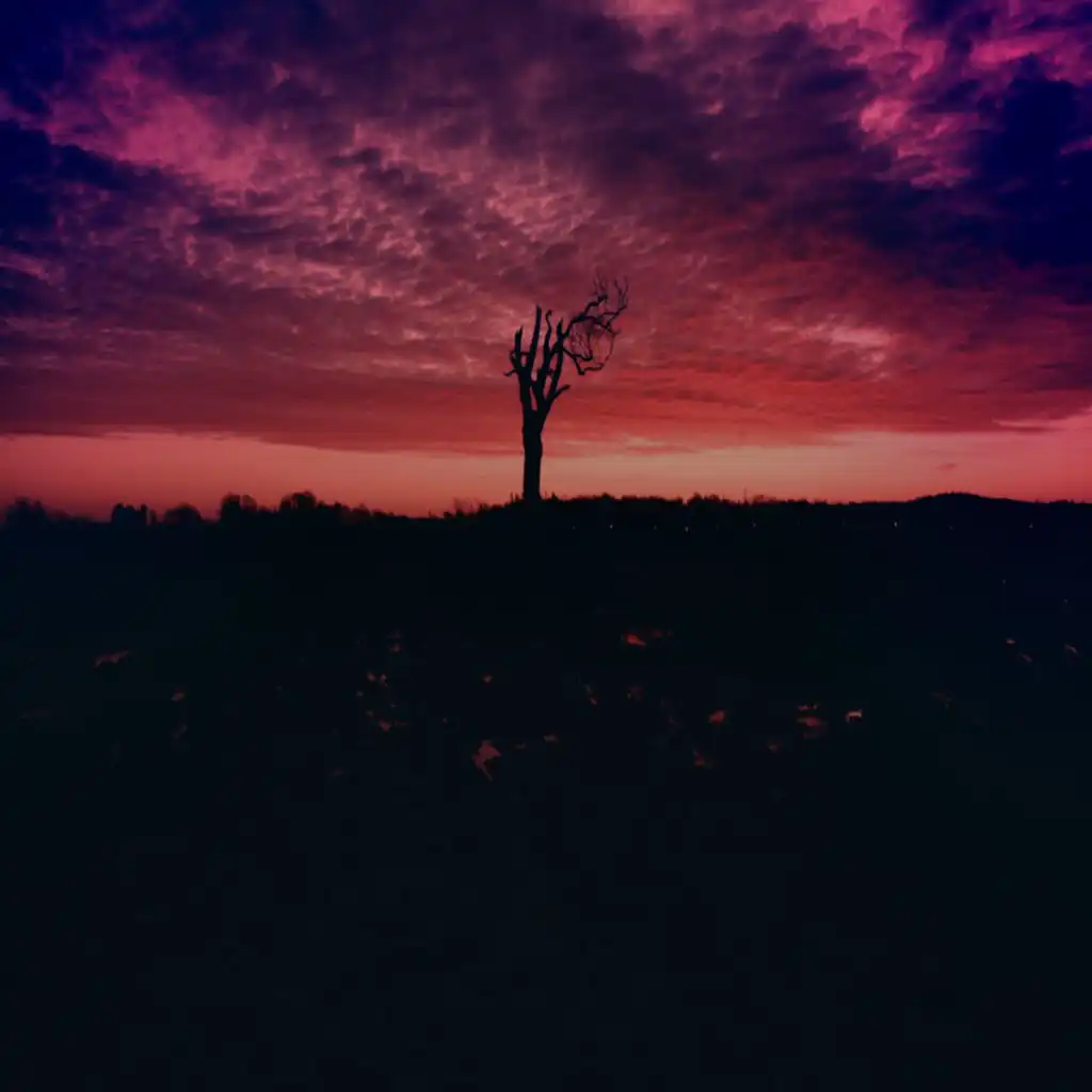 artist-header-image