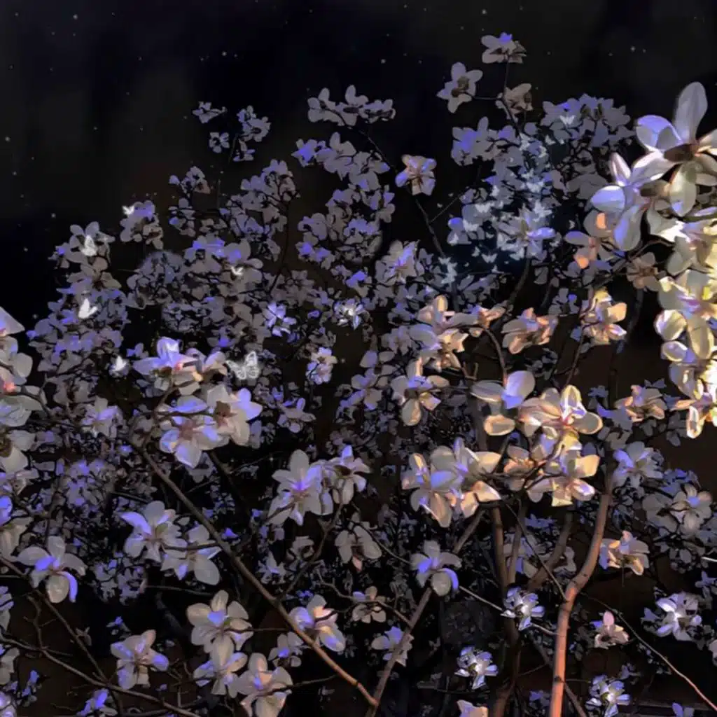 artist-header-image