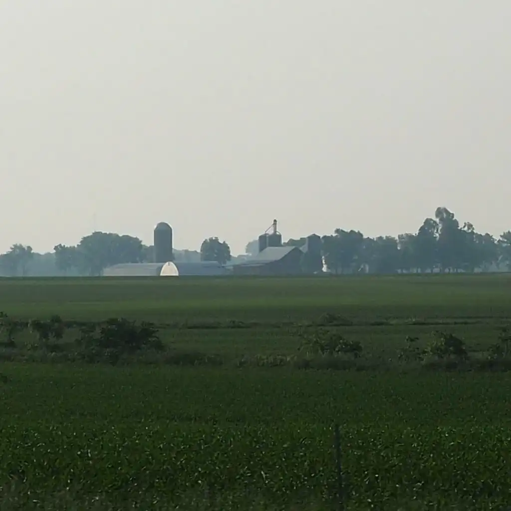 header-image