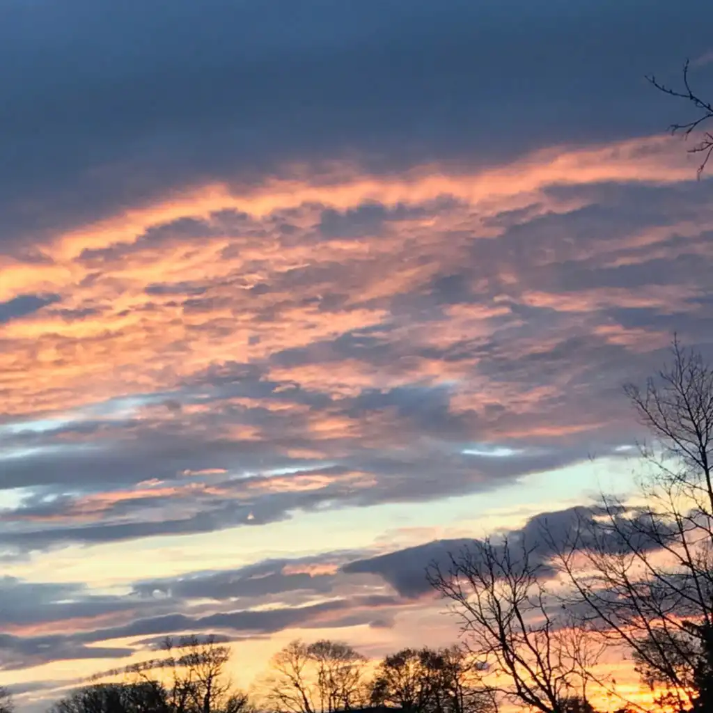 header-image