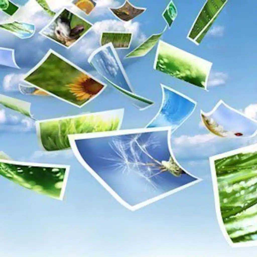 header-image