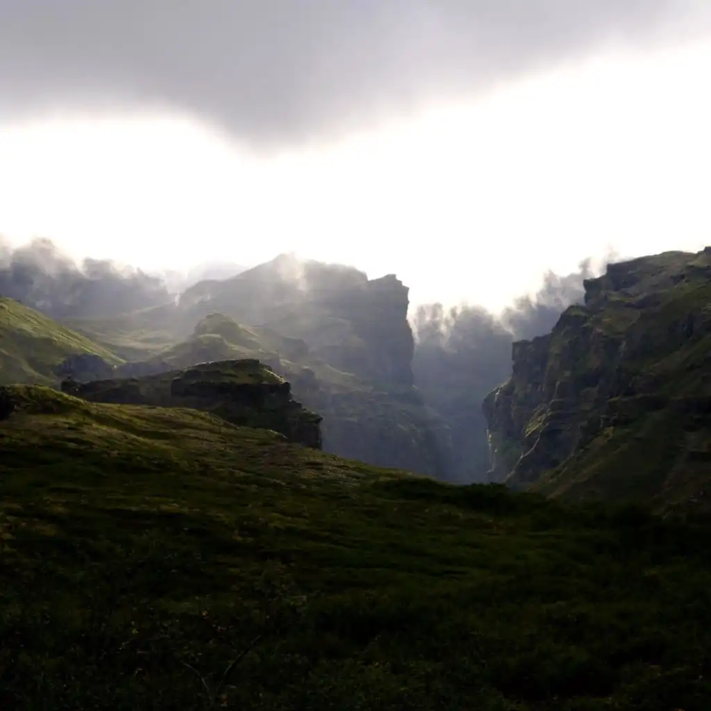 header-image