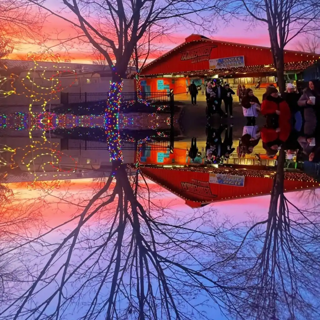 header-image