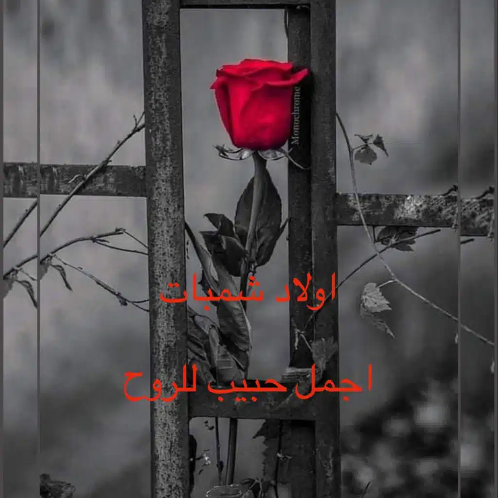 artist-header-image