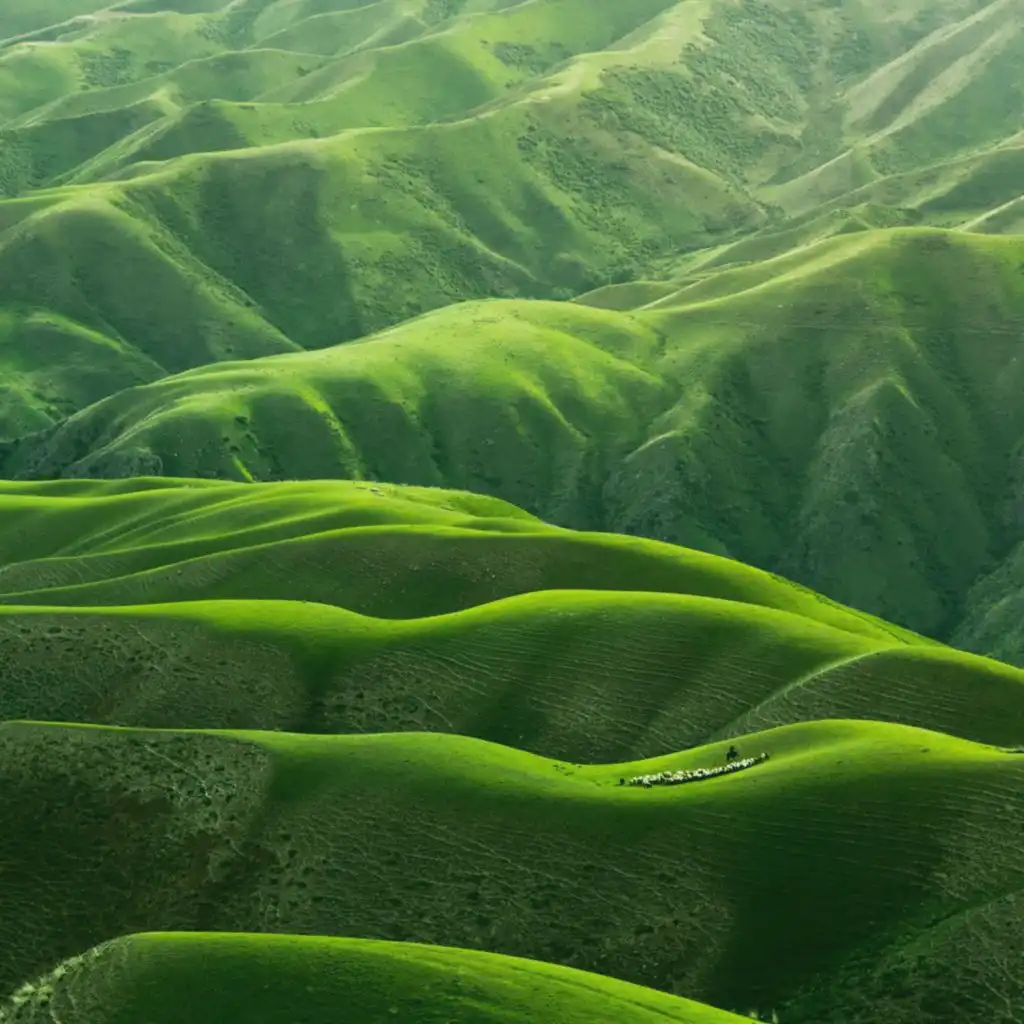 header-image