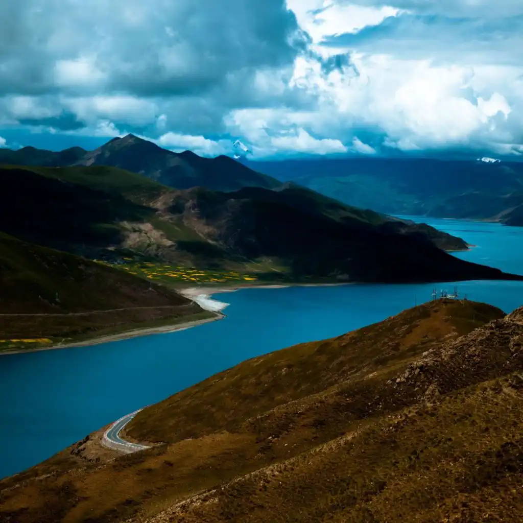 artist-header-image