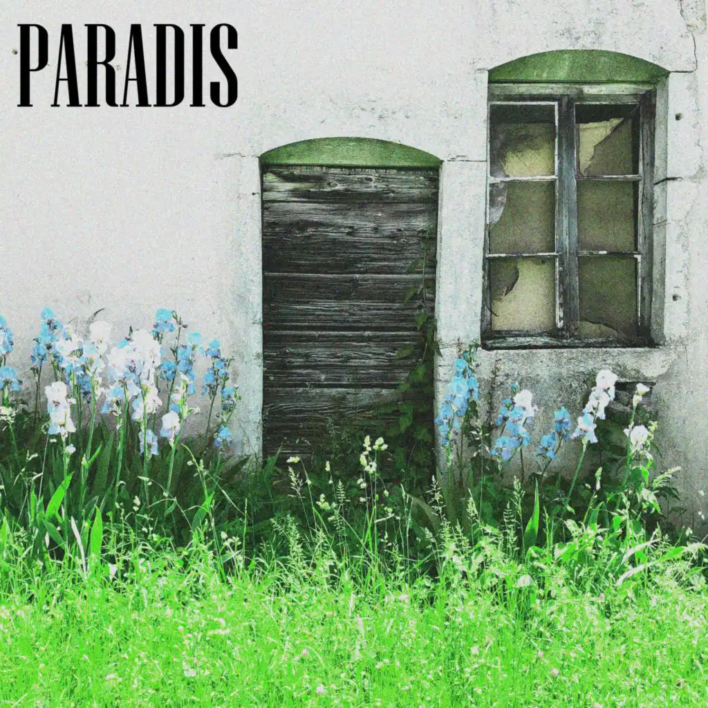 header-image