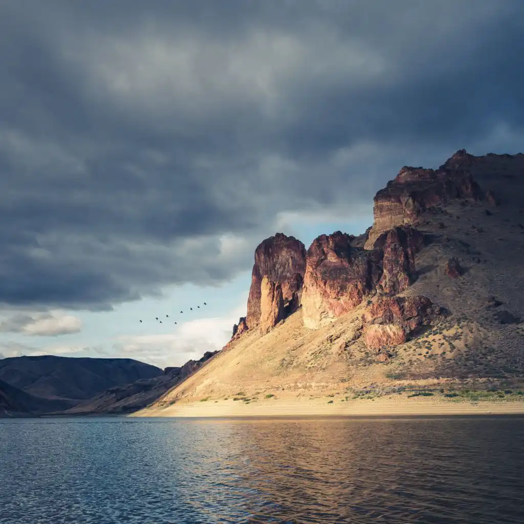 artist-header-image