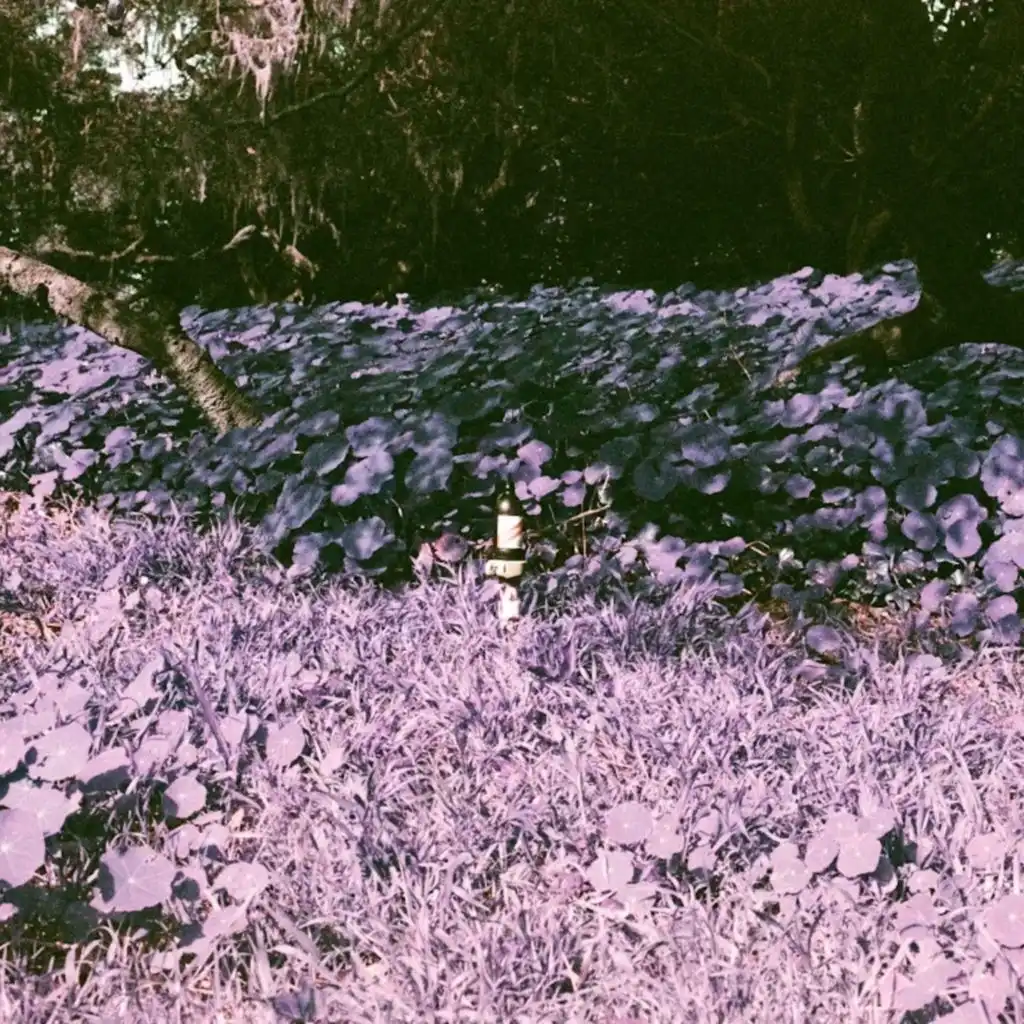 artist-header-image