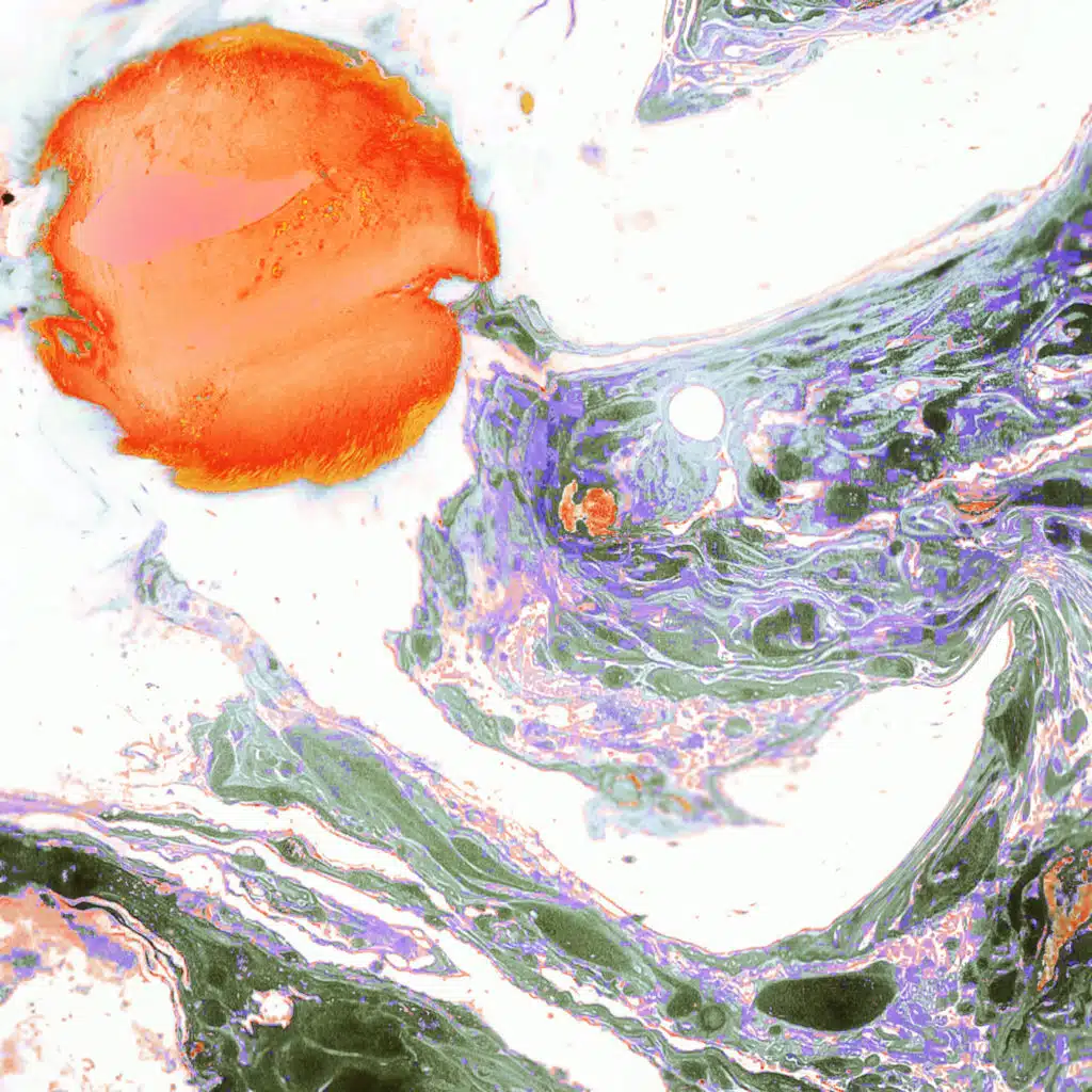 header-image
