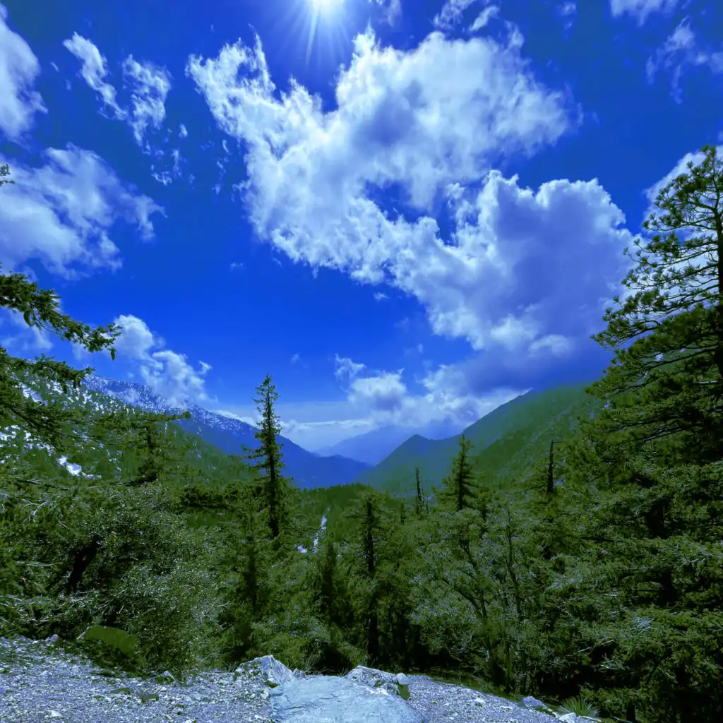 header-image