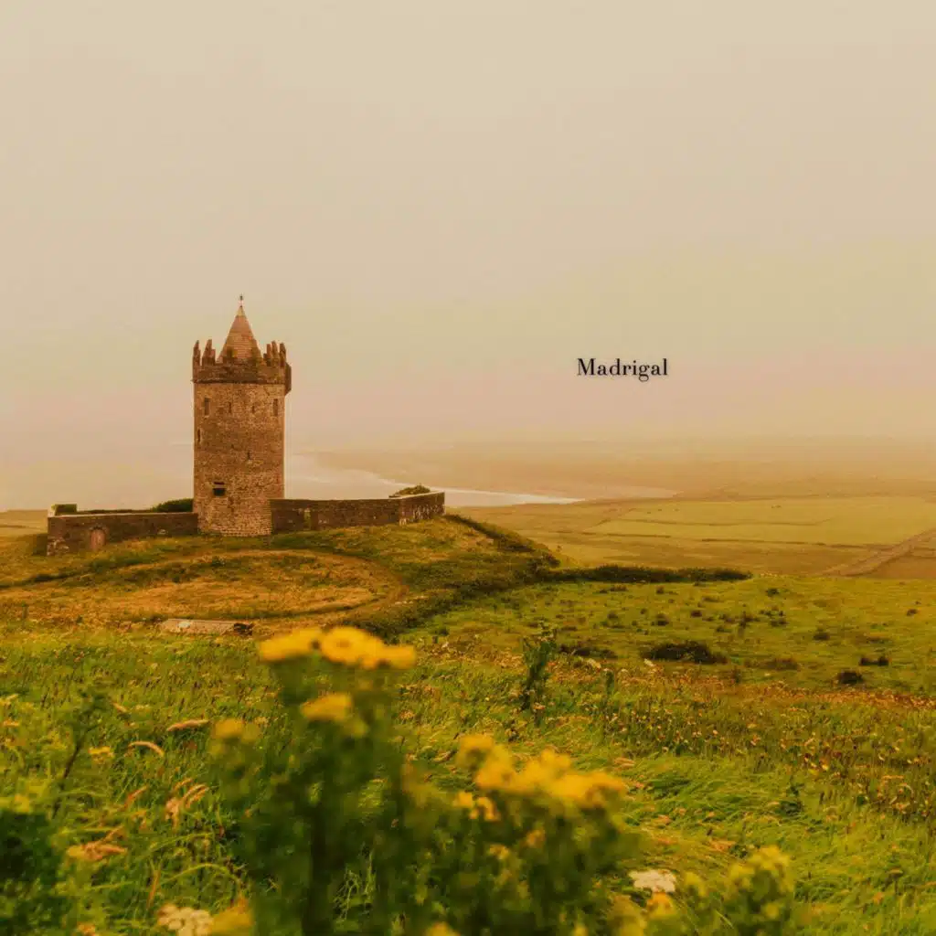 artist-header-image