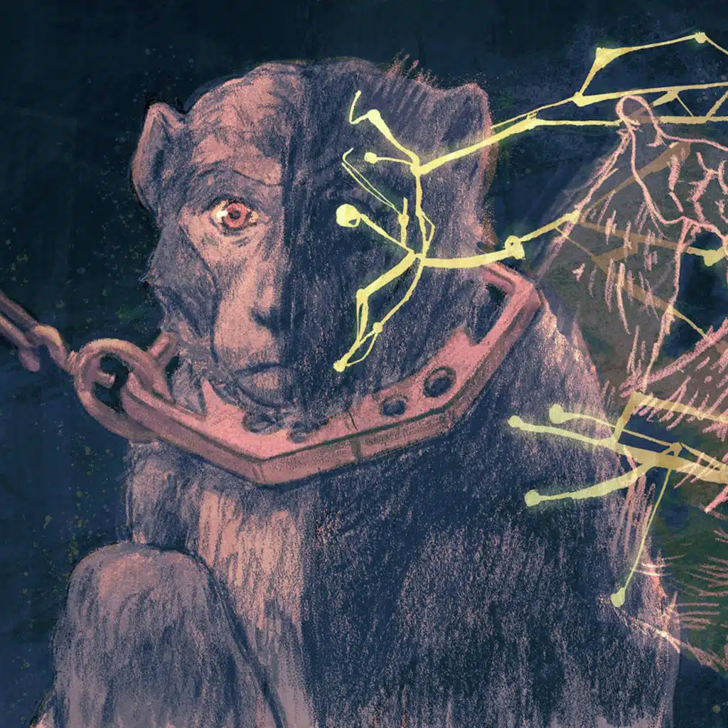 episode-header-image