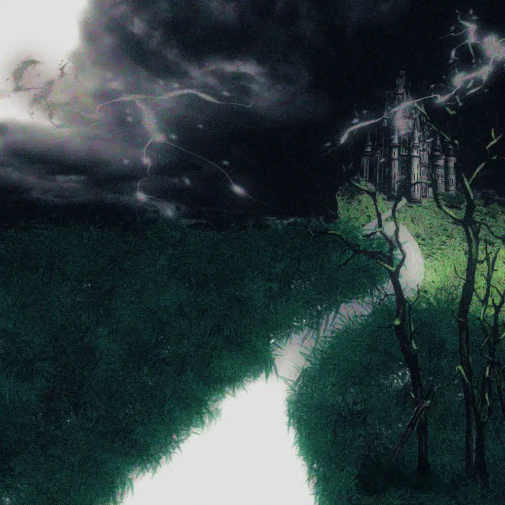 artist-header-image