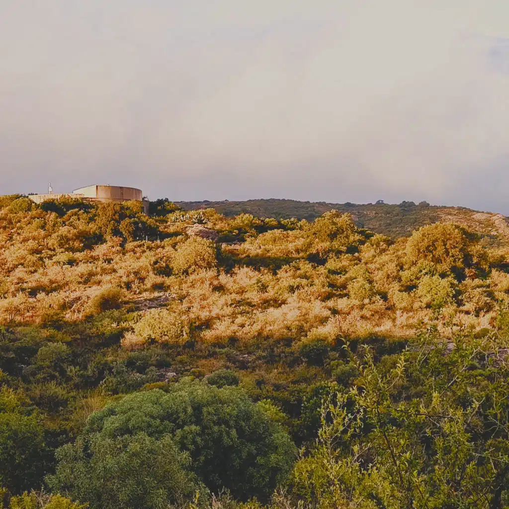 artist-header-image