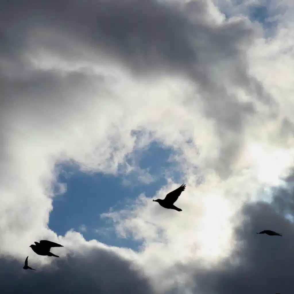 artist-header-image