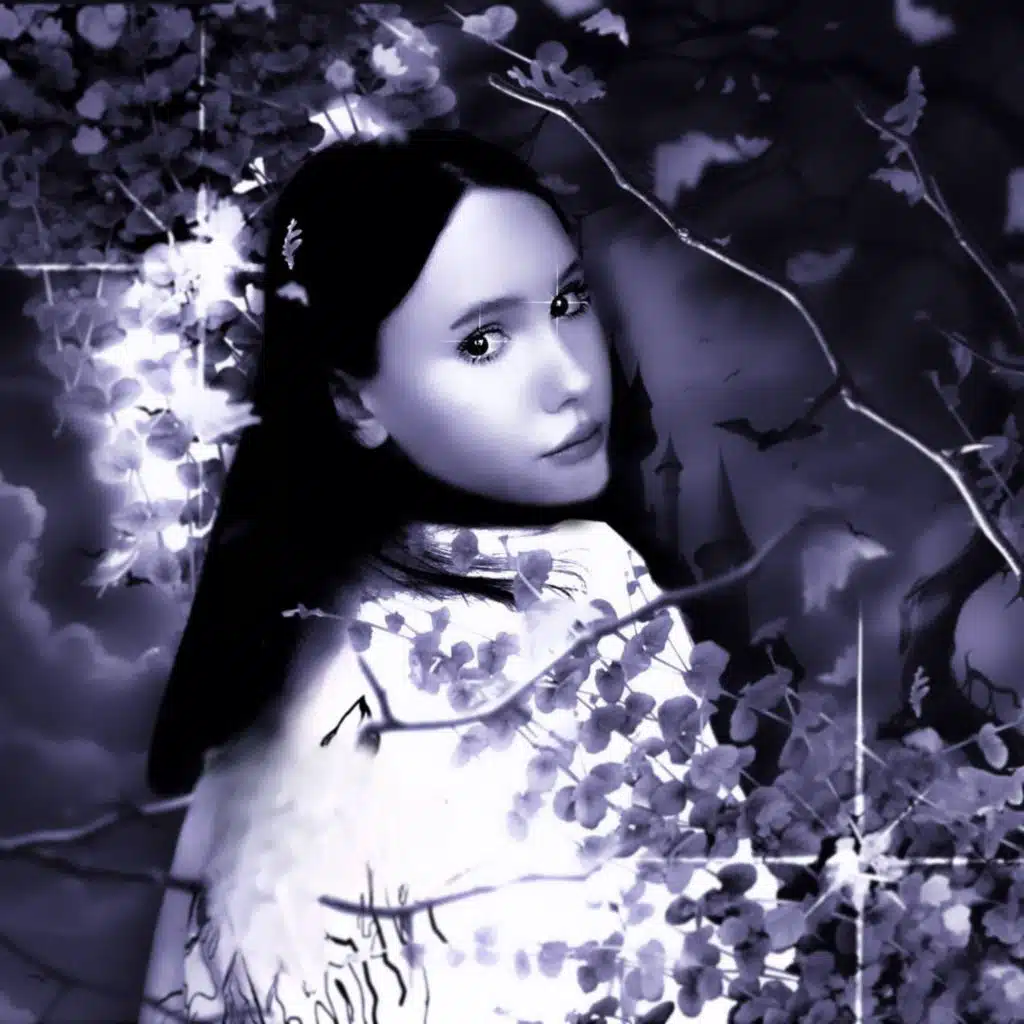 artist-header-image