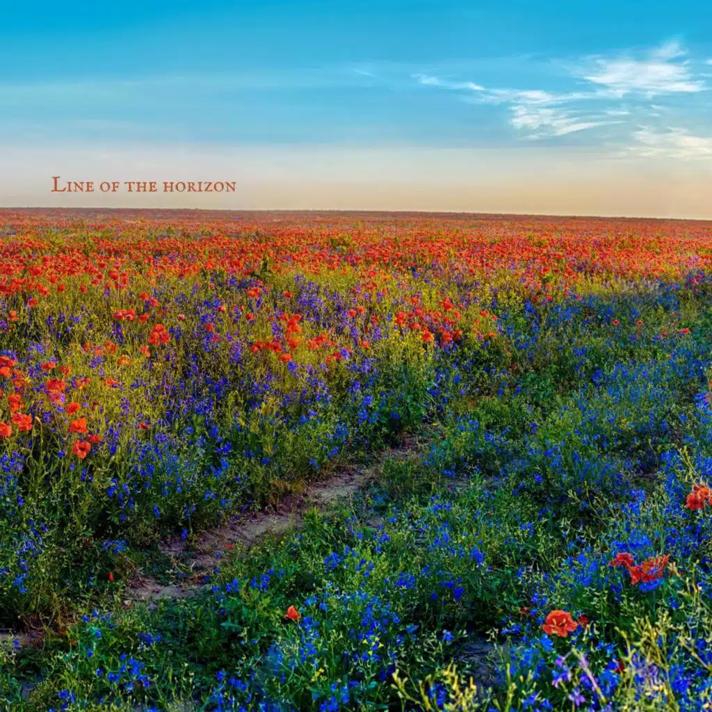 artist-header-image