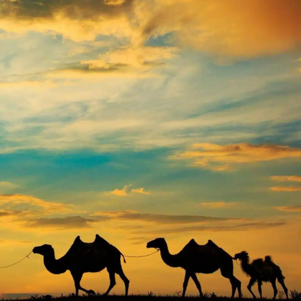 header-image