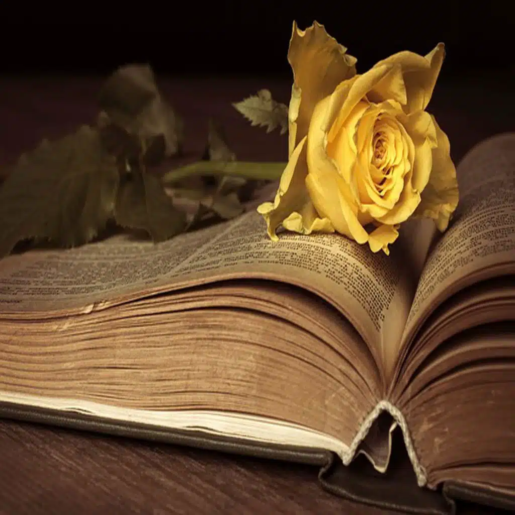 header-image