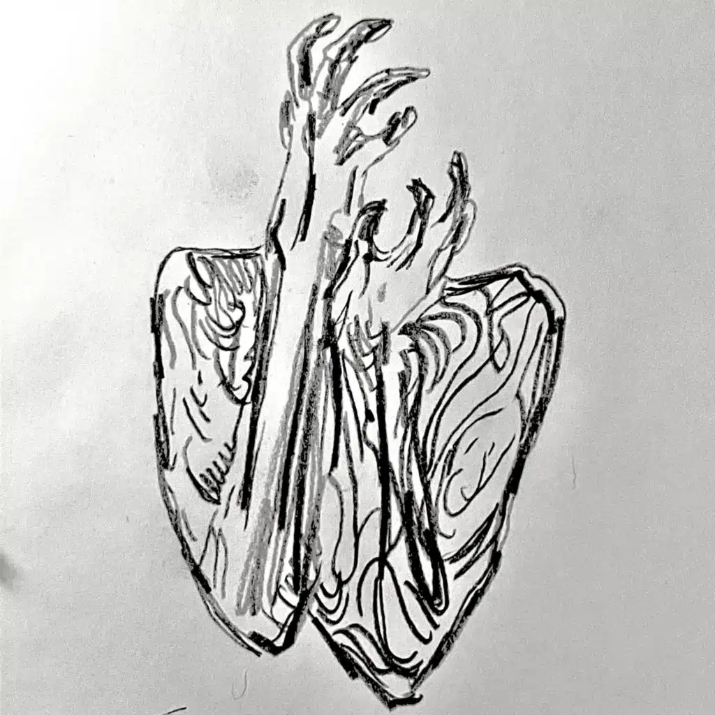 header-image