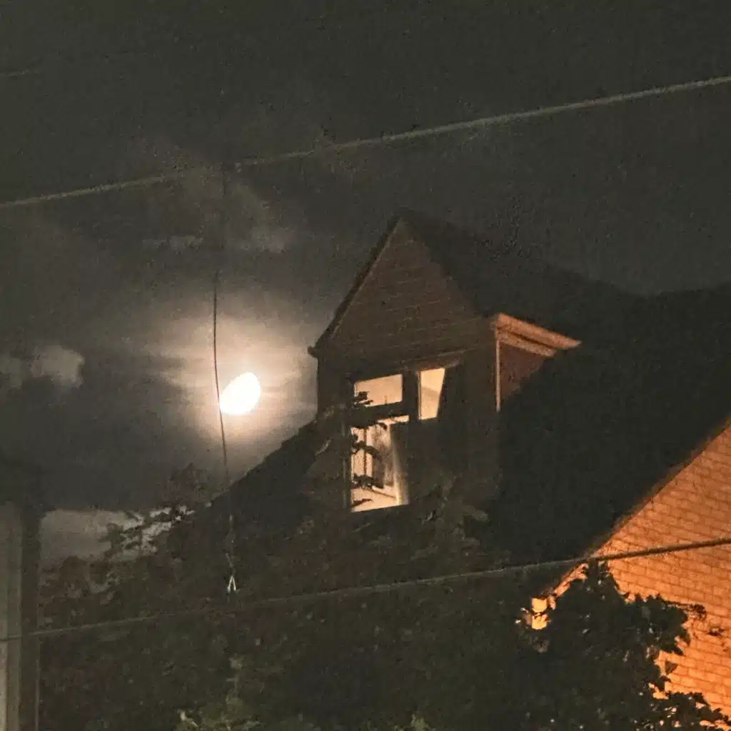 header-image