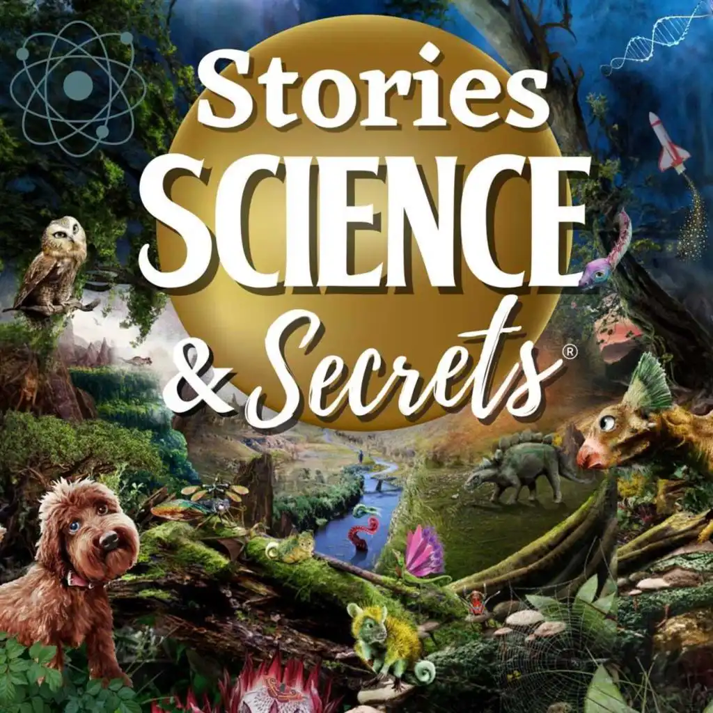 episode-header-image