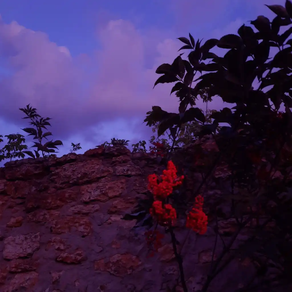 header-image