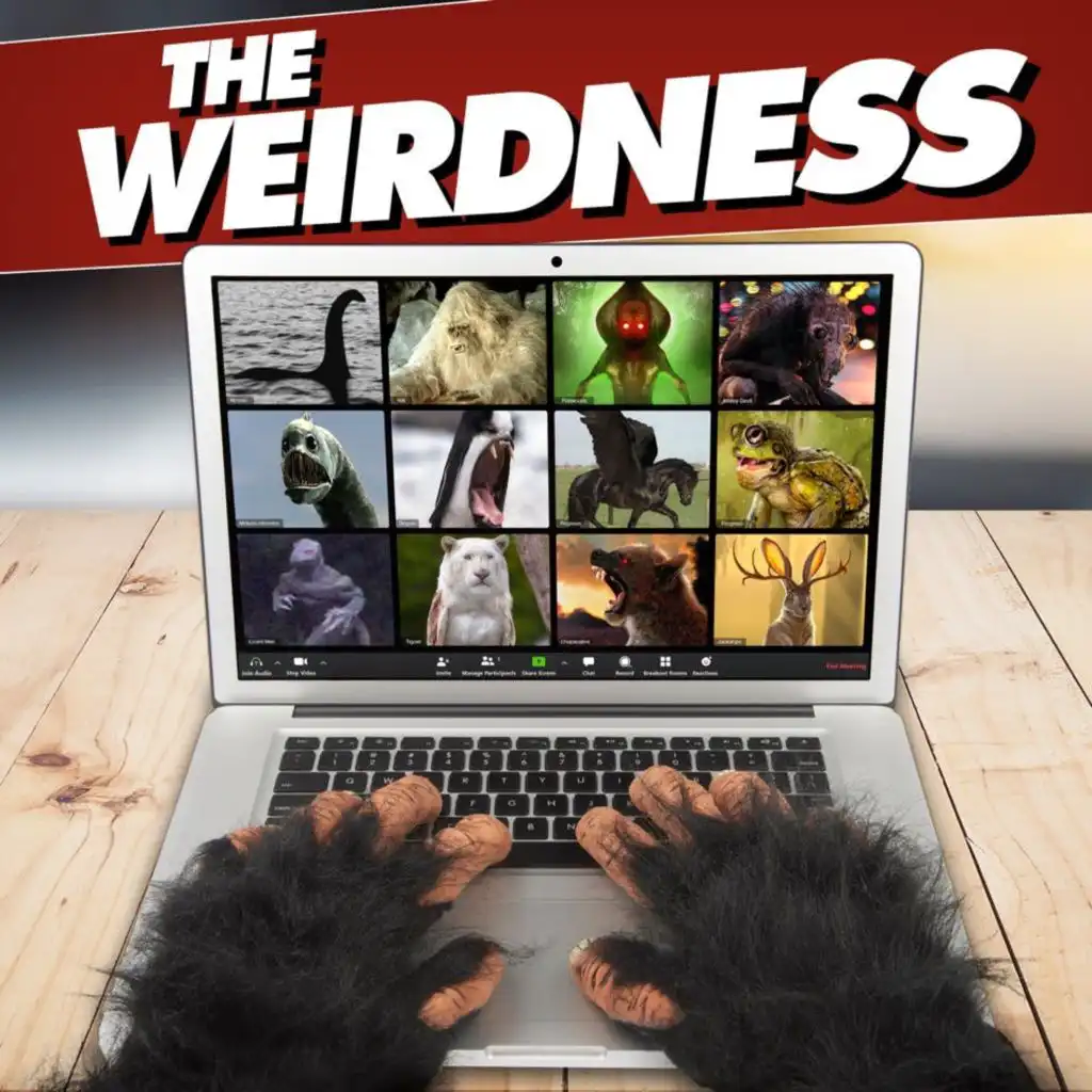 episode-header-image