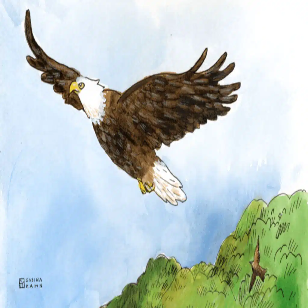 episode-header-image