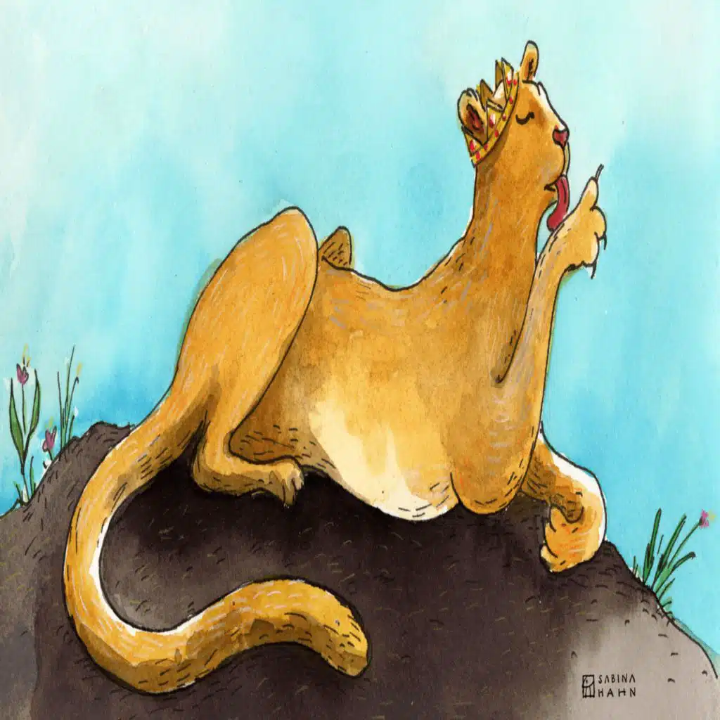 episode-header-image