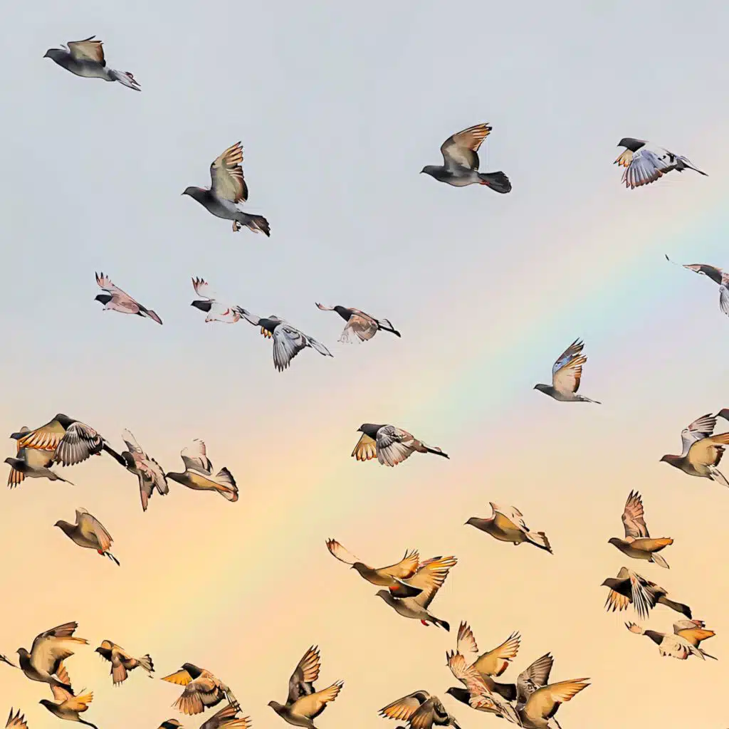 header-image