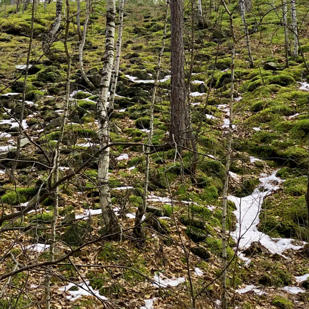 header-image