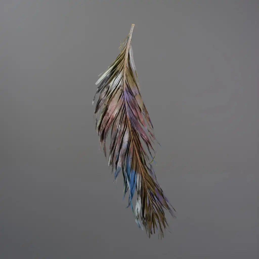 artist-header-image