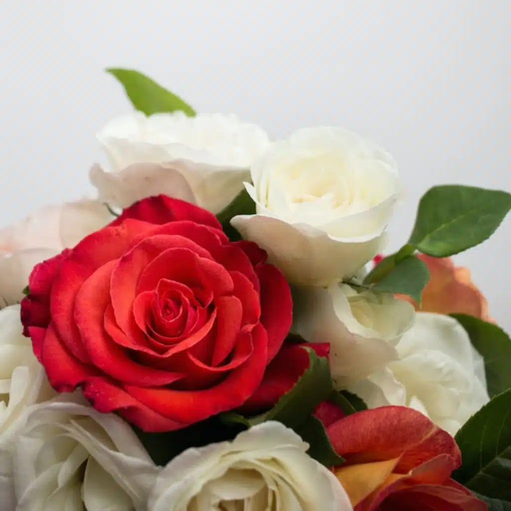 header-image