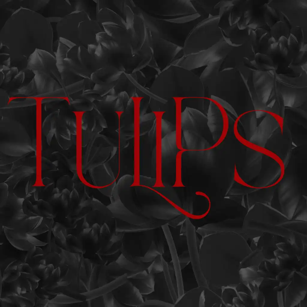 header-image