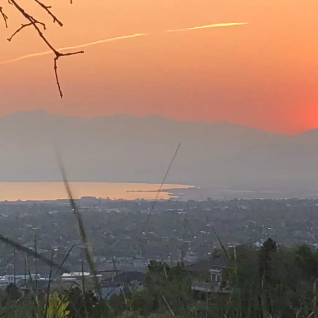 header-image