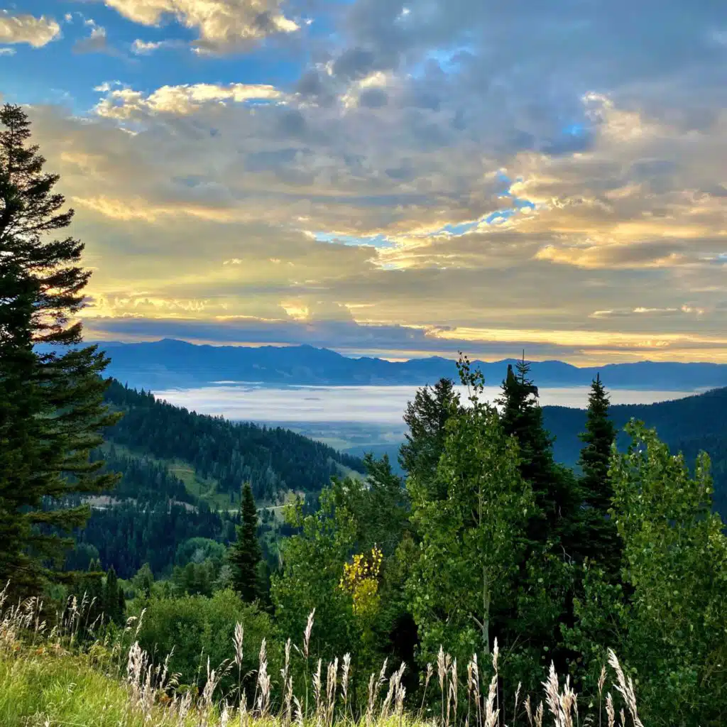 header-image