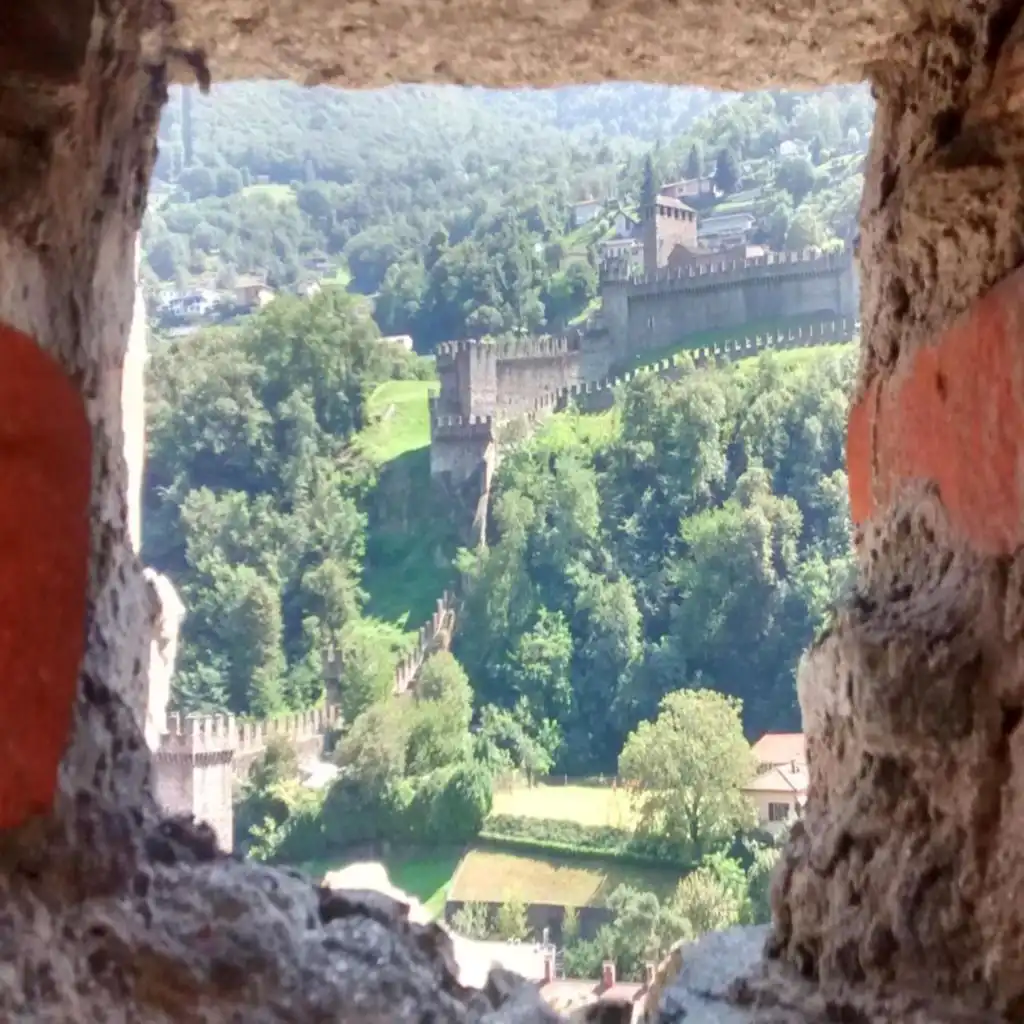 header-image