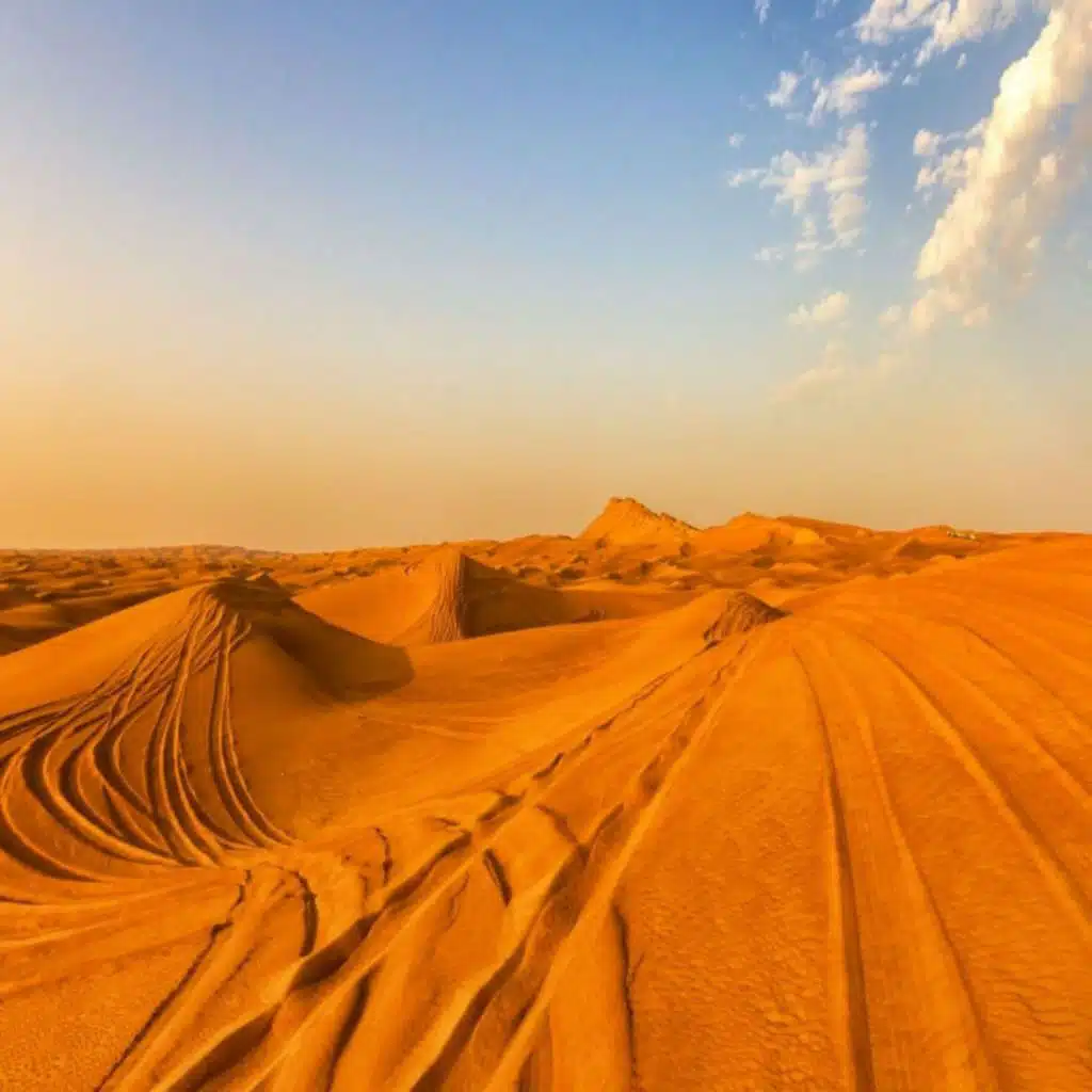 artist-header-image
