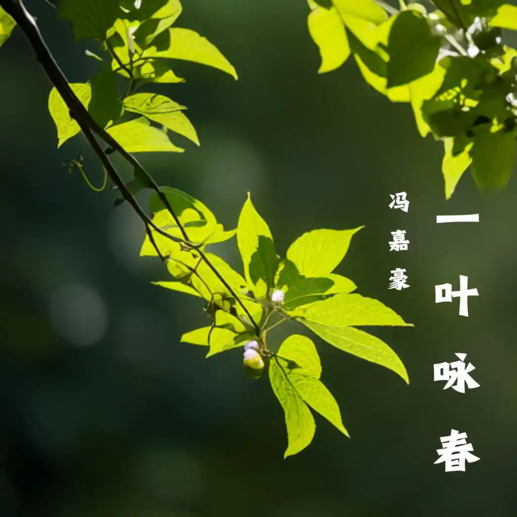 artist-header-image