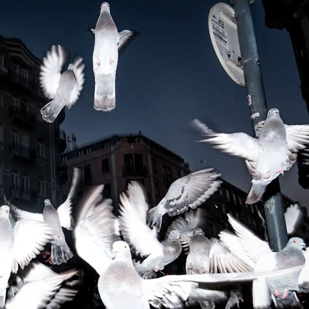 artist-header-image