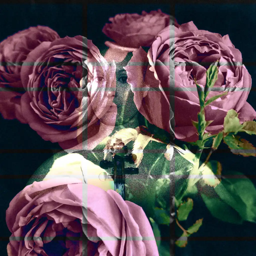artist-header-image