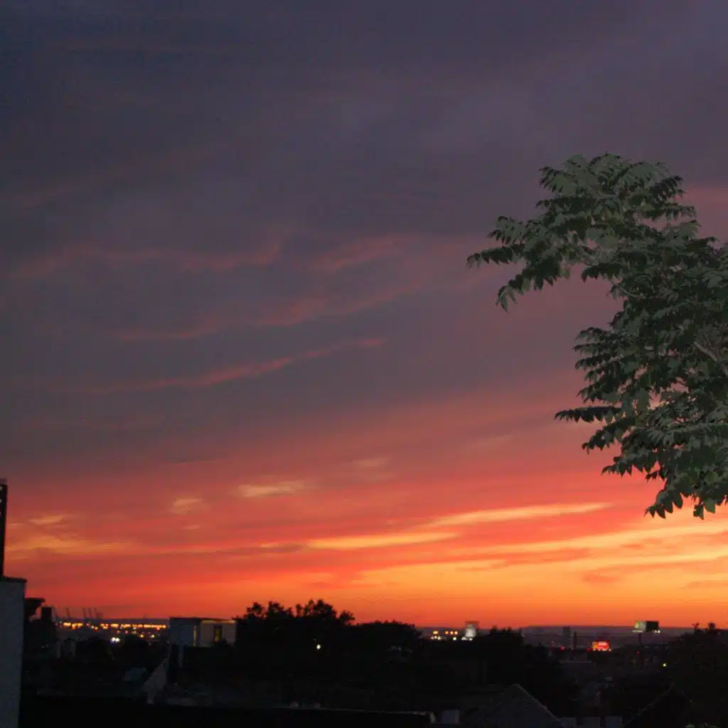 header-image