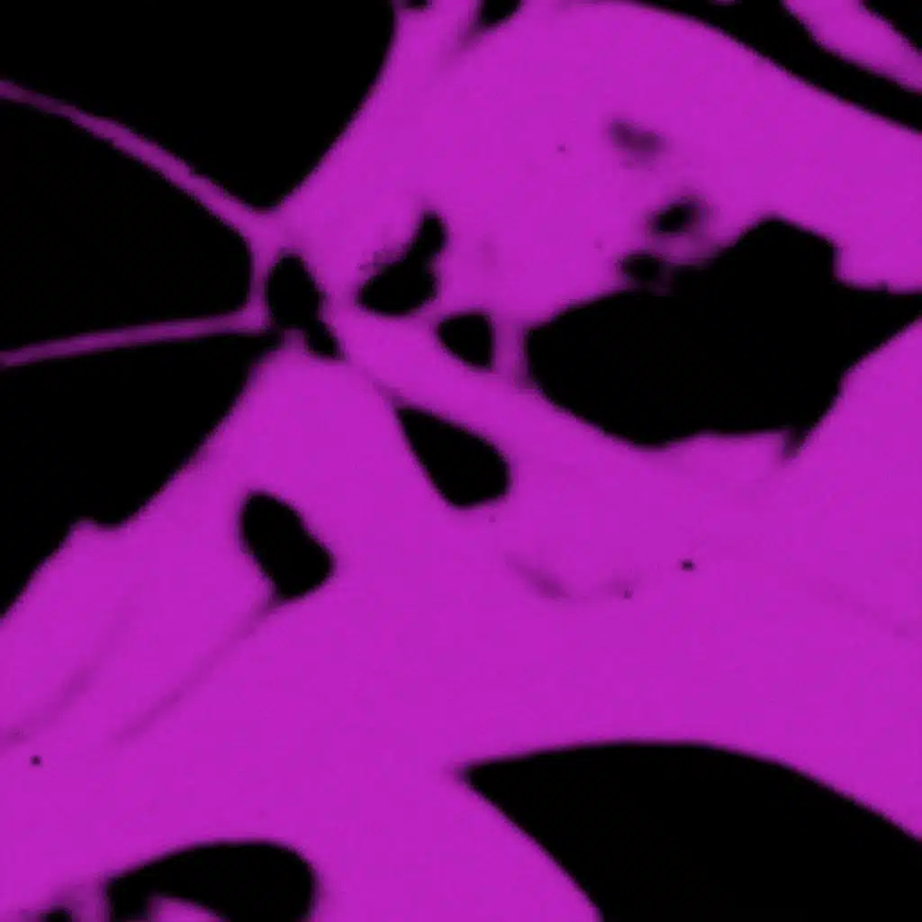 artist-header-image