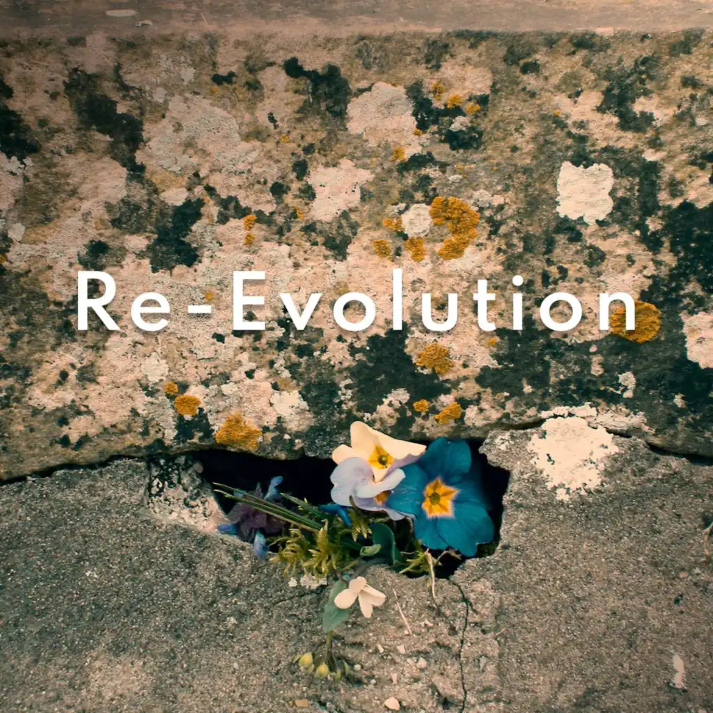 artist-header-image