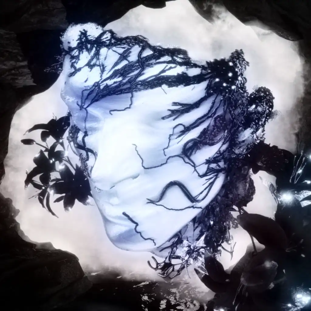 artist-header-image